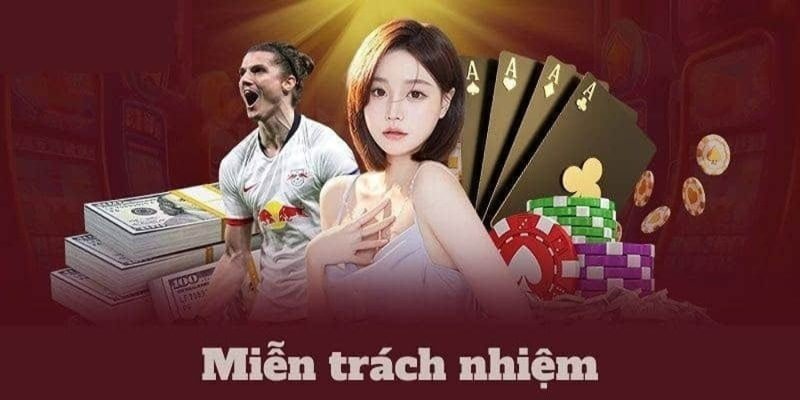 Sơ lược chính sách miễn trừ trách nhiệm